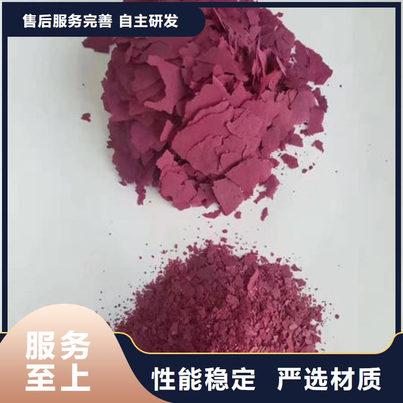 紫地瓜苗哪里有卖的