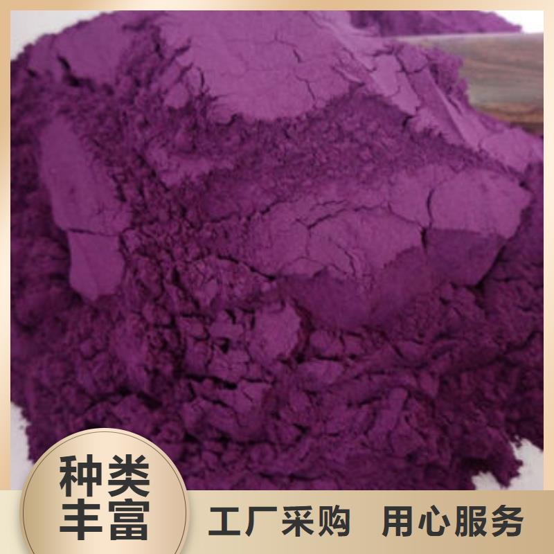 紫红薯苗2025新苗上市