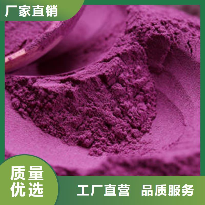 紫薯苗（济黑2号）多少钱