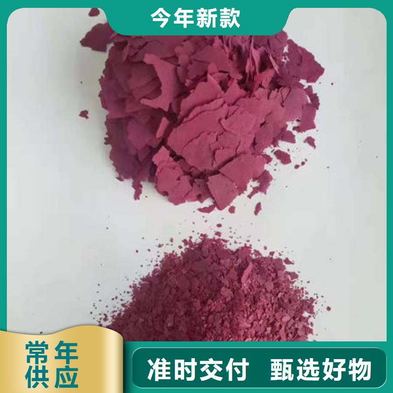 鲜食型紫薯苗市场报价