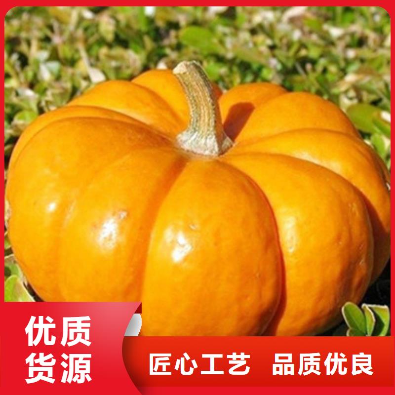 南瓜丁羽衣甘蓝粉一站式采购商