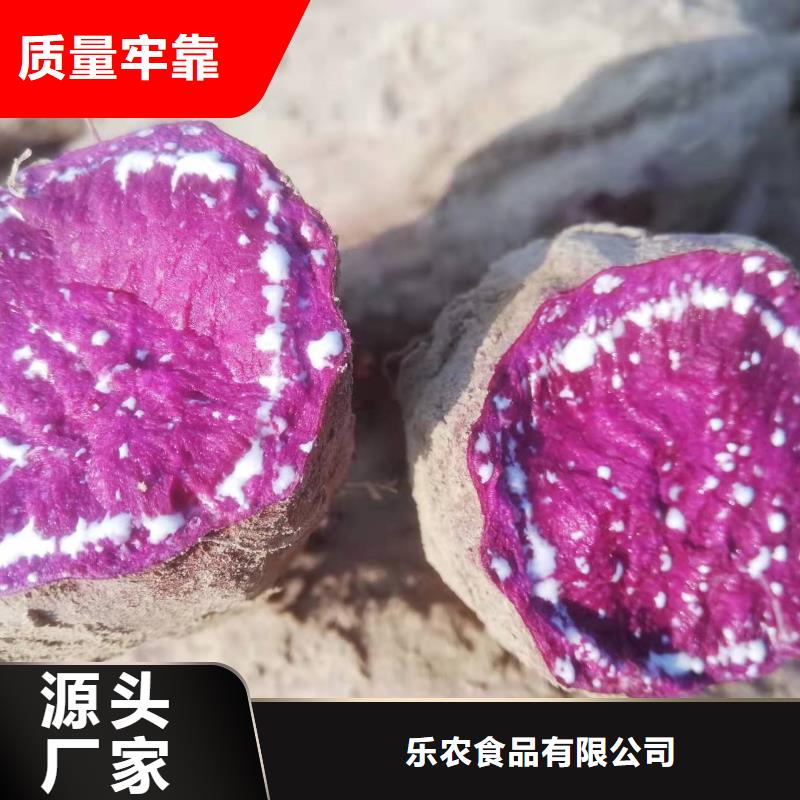 紫薯苗,紫薯粉厂家当日价格
