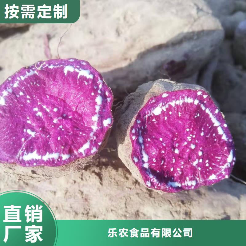 红薯苗（西瓜红）厂家价格是多少