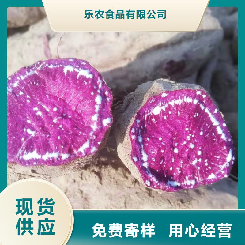 紫薯苗紫薯雪花片一对一为您服务