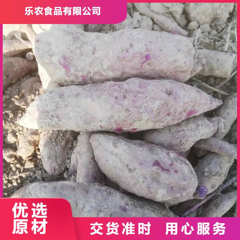 紫地瓜苗电话