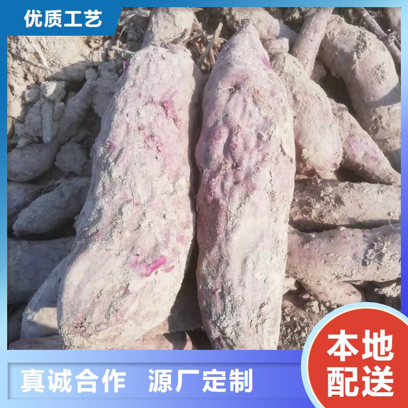 紫薯苗（济黑2号）报价