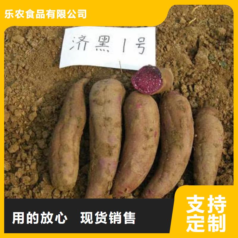 紫甘薯苗多少钱