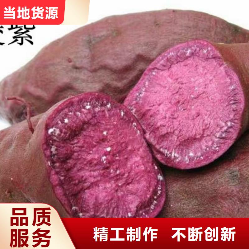 紫薯苗（春薯苗）预定中