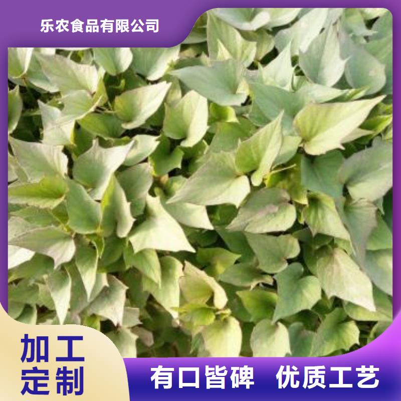 紫薯苗(济黑2号上市)出品率高