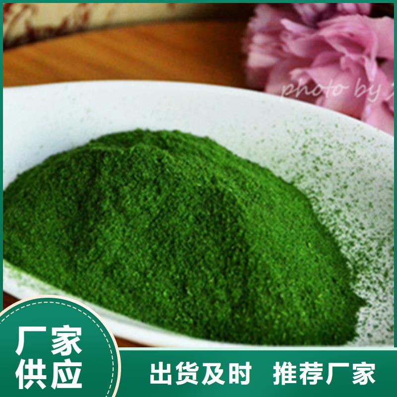 菠菜粉生产厂家