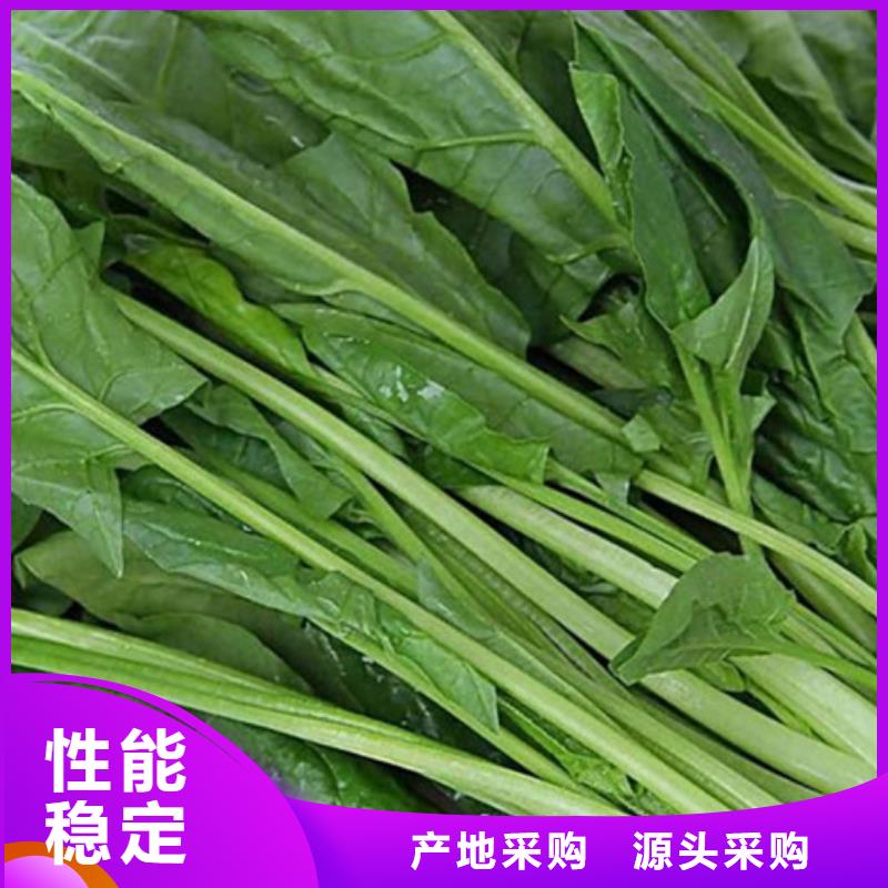 菠菜粉无中间商
