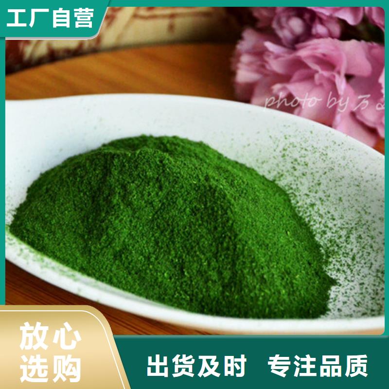 绿色菠菜粉厂家直接发货