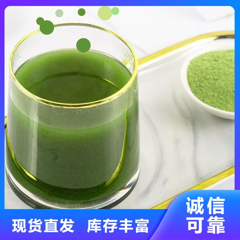 省心：羽衣甘蓝粉生产厂家