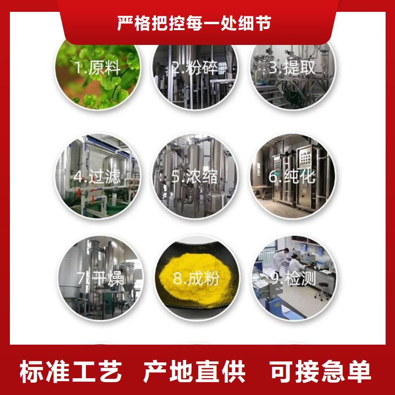 羽衣甘蓝生产基地厂家