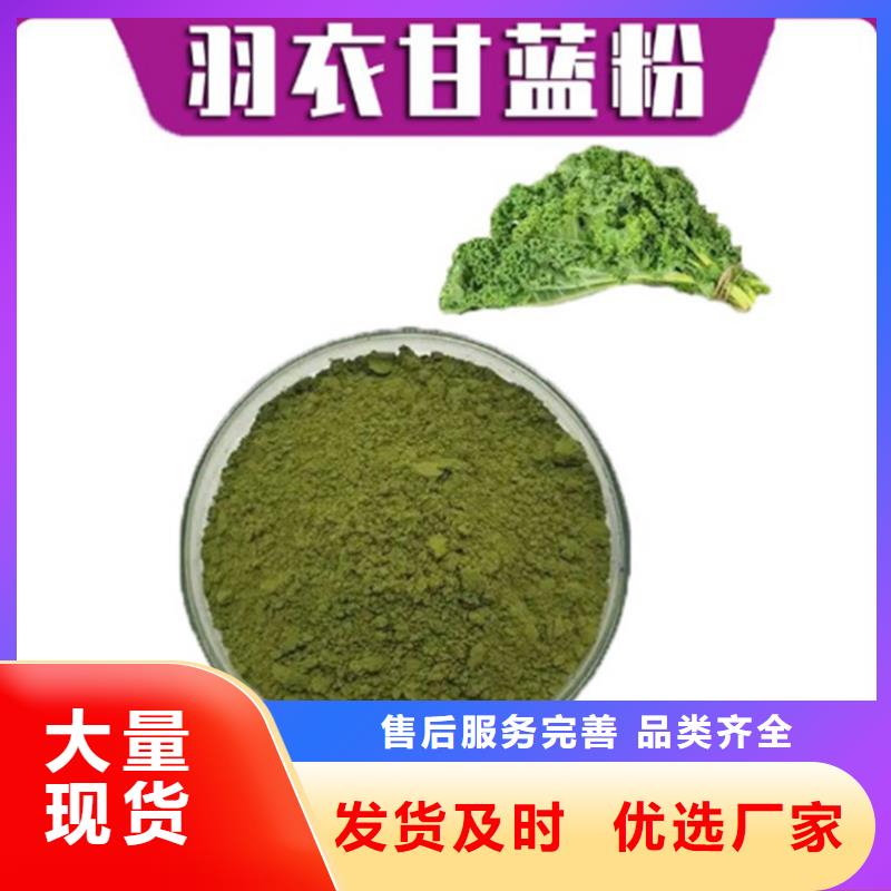 羽衣甘蓝生产基地厂家