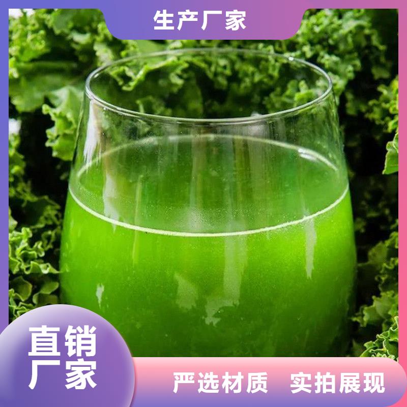 羽衣甘蓝生产基地厂家