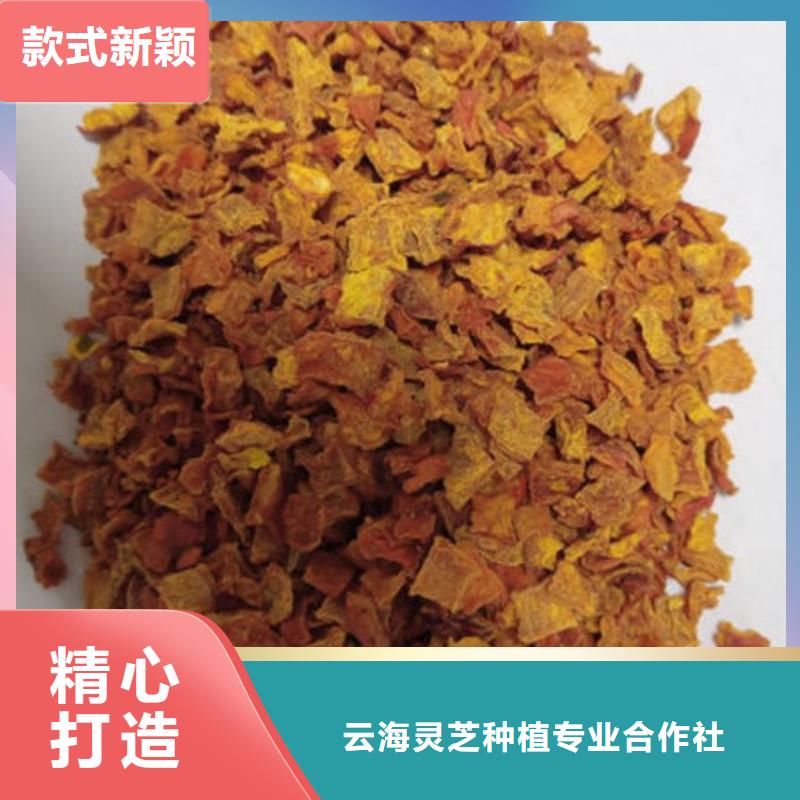 南瓜丁灵芝菌种用心细节