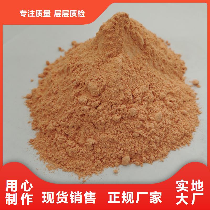 胡萝卜粉灵芝破壁孢子粉厂家货源