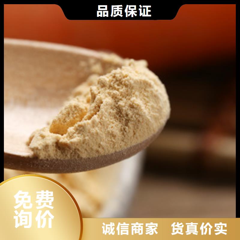 胡萝卜粉灵芝破壁孢子粉厂家货源