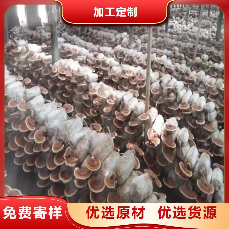 瑞芝厂家售后服务热线
