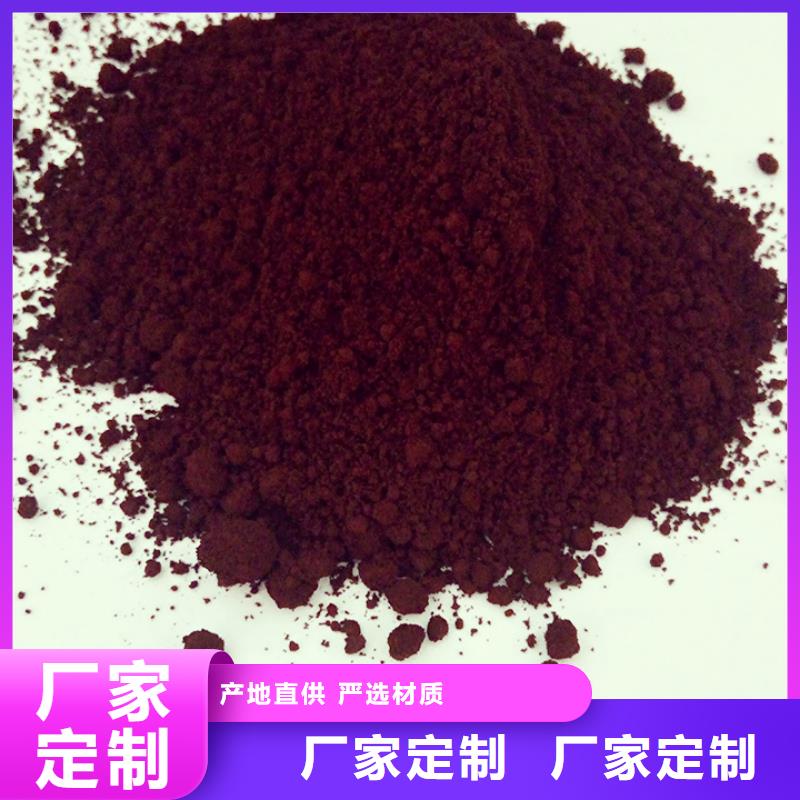 灵芝盆栽厂家好品质
