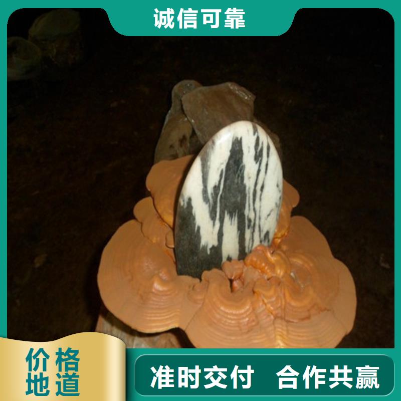 供应批发
灵芝孢子粉-靠谱