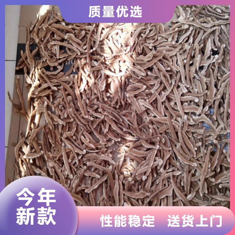 
孢子灵芝交货及时