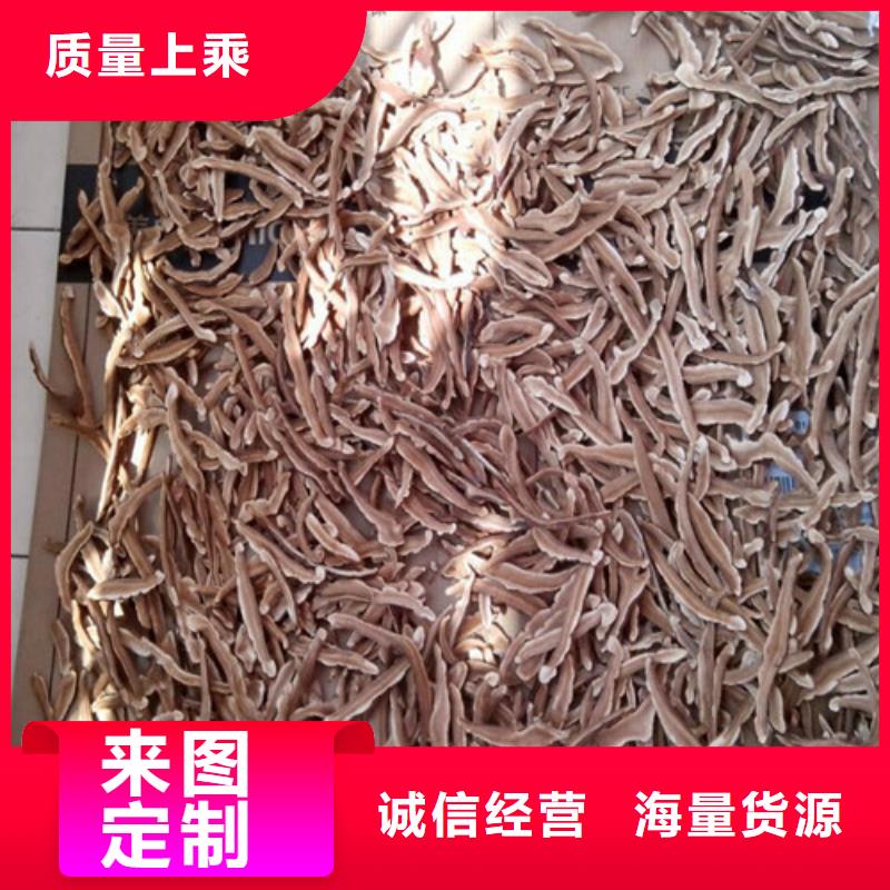 灵芝孢子粉公司