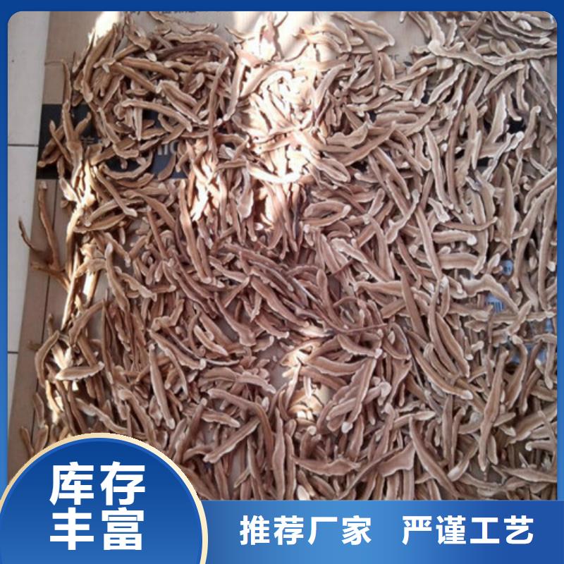 灵芝超细粉工厂直销