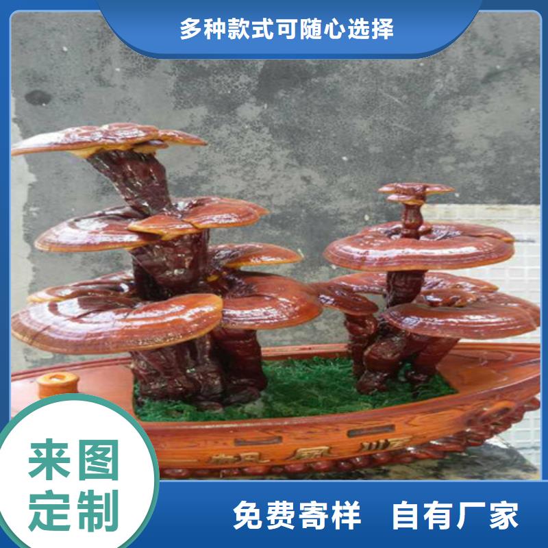 破壁灵芝粉-量大价优