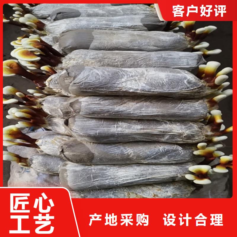 
孢子灵芝精选厂商