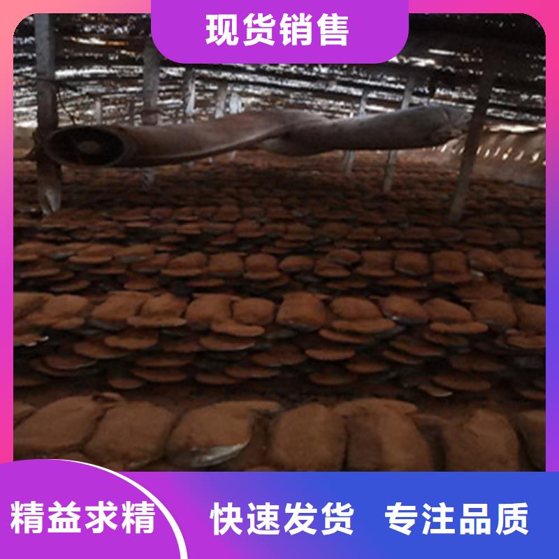 买灵芝超微粉不要贪图便宜