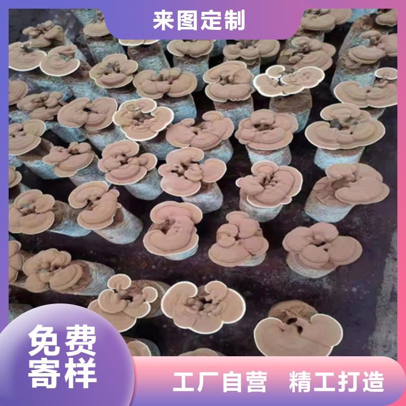 灵芝超微粉
厂家供应商