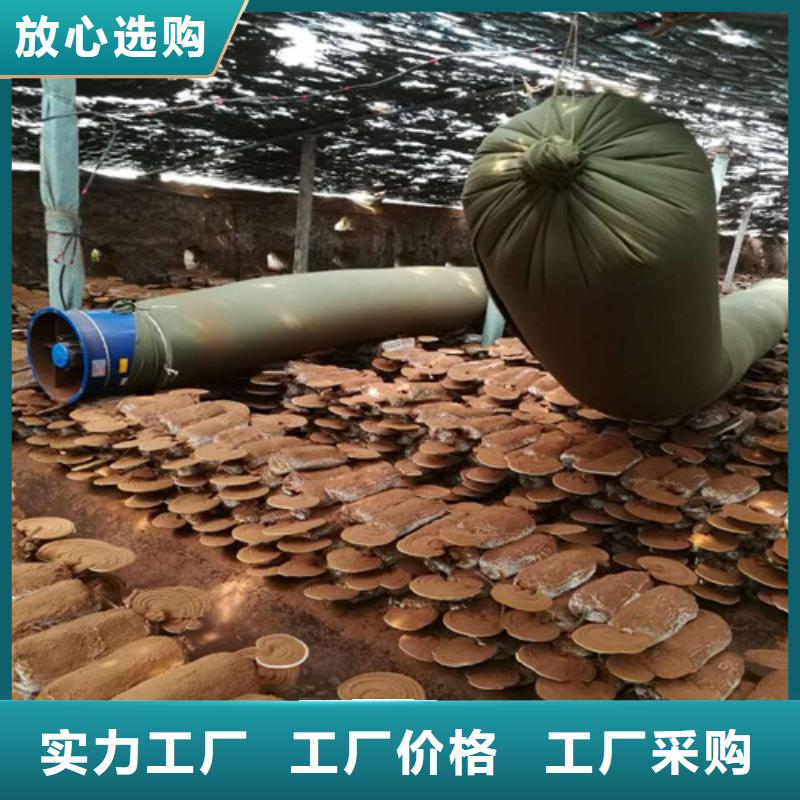 灵芝超微粉公司报价