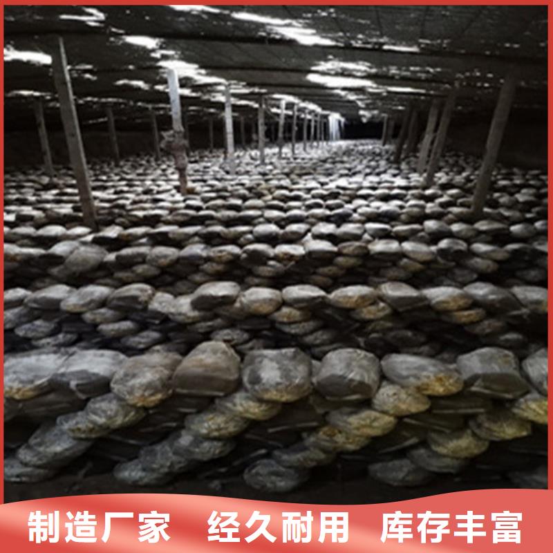 瑞芝现货充裕
