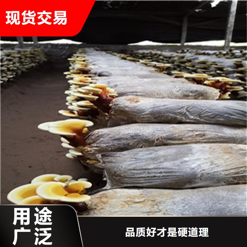 买灵芝超微粉不要贪图便宜
