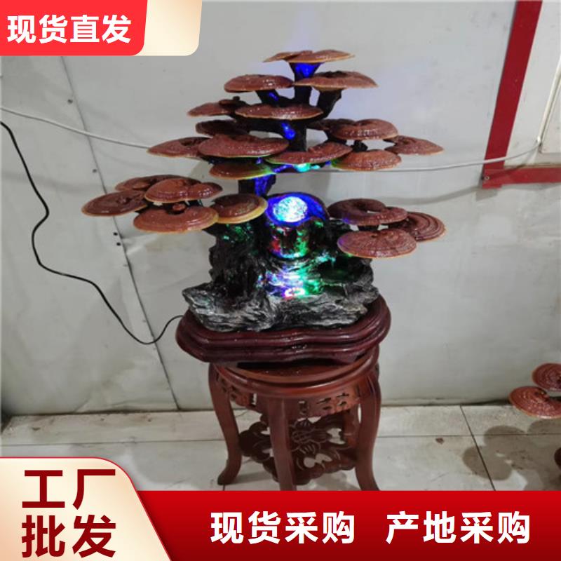 灵芝超微粉
品质高于同行