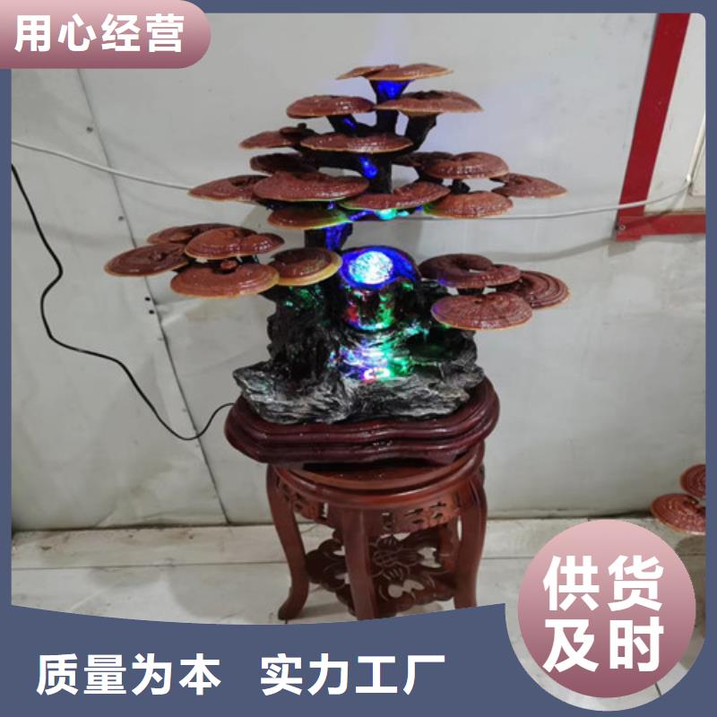 灵芝白头生产厂家_10年经验