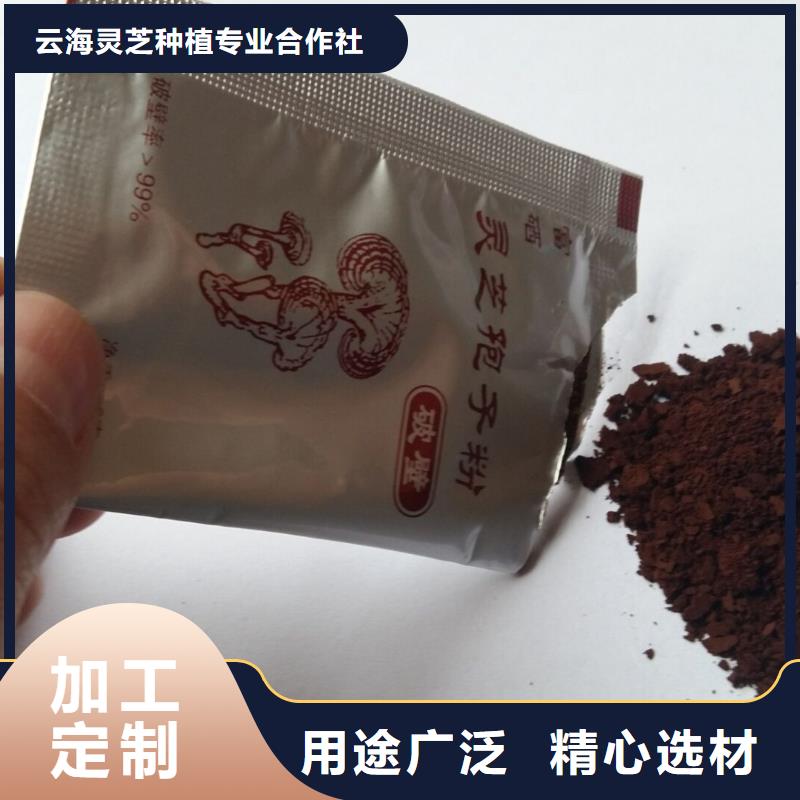 灵芝-灵芝可定制