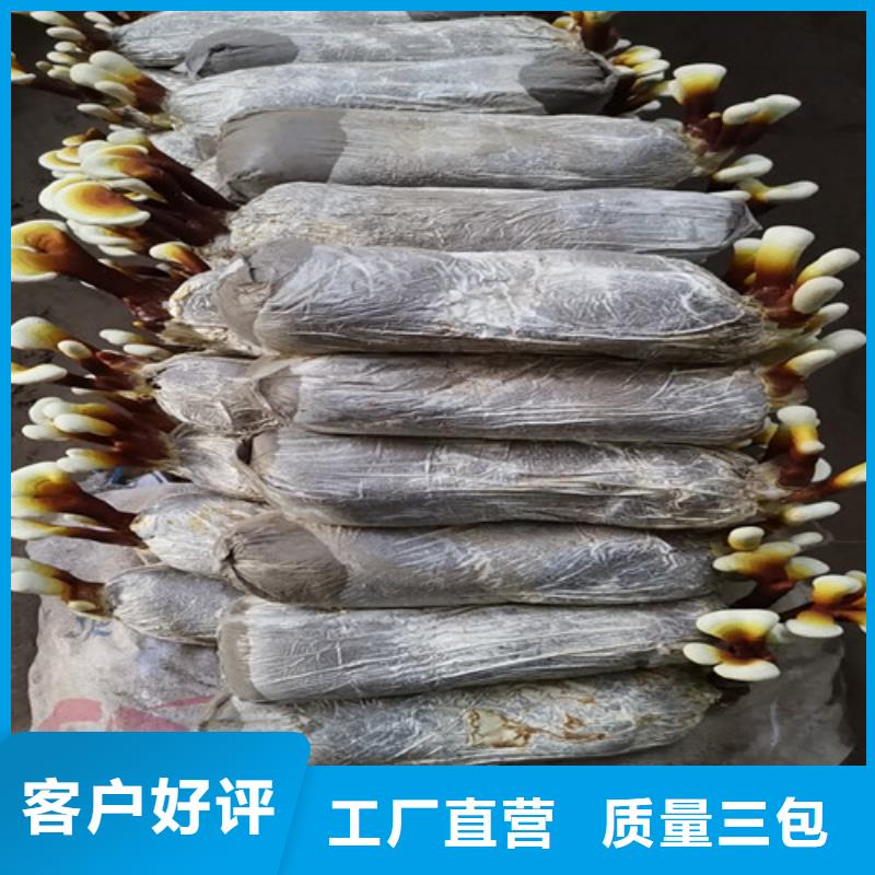 
灵芝粉
安装价格