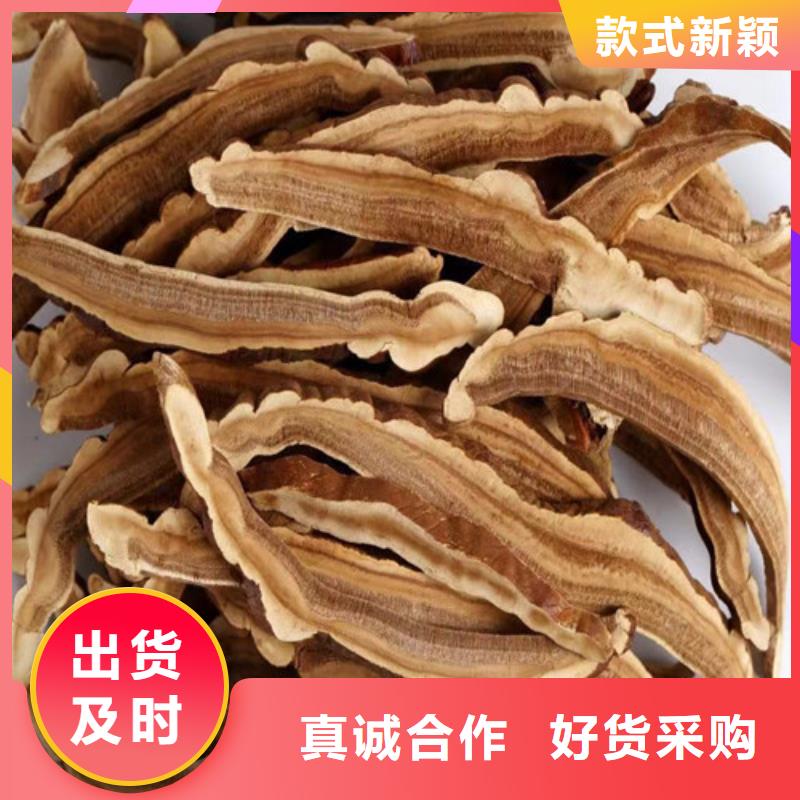 优选：
灵芝孢子粉生产厂家