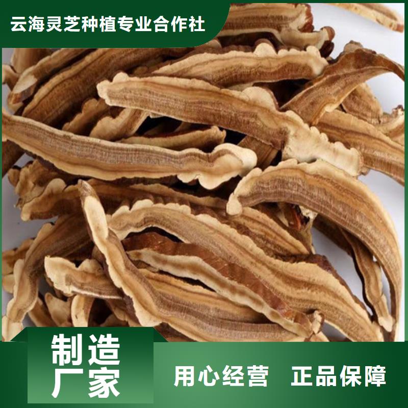 
灵芝孢子粉价格-厂家
