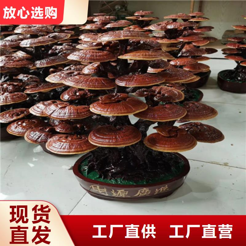 瑞芝厂家售后服务热线