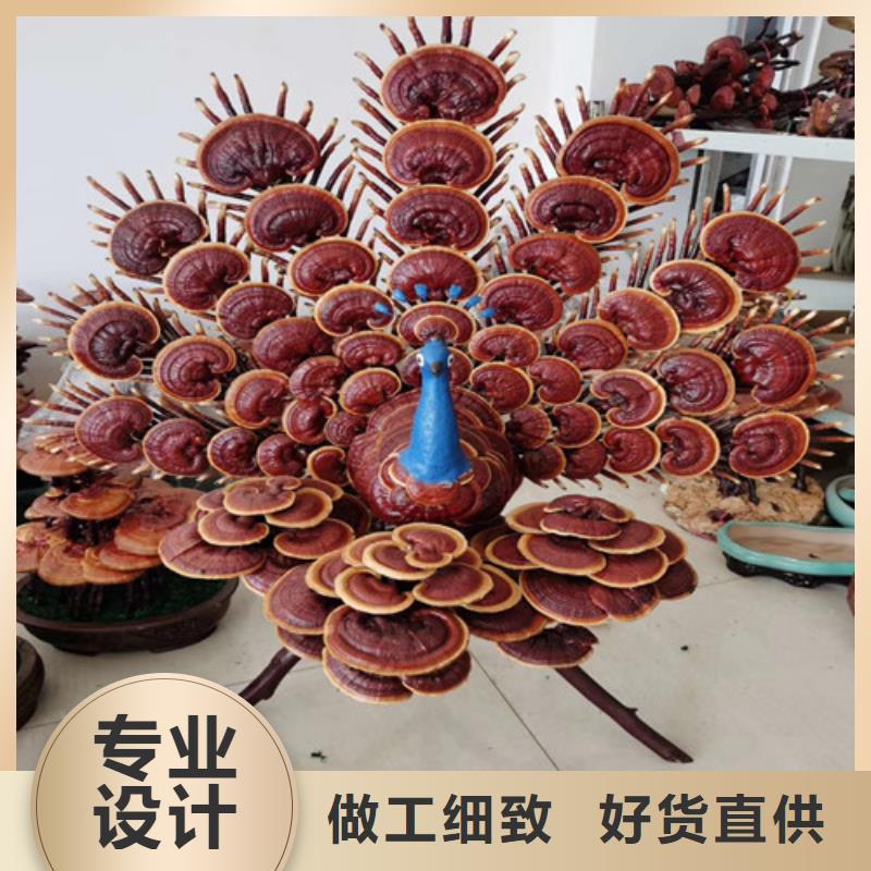 灵芝孢子粉源头好货