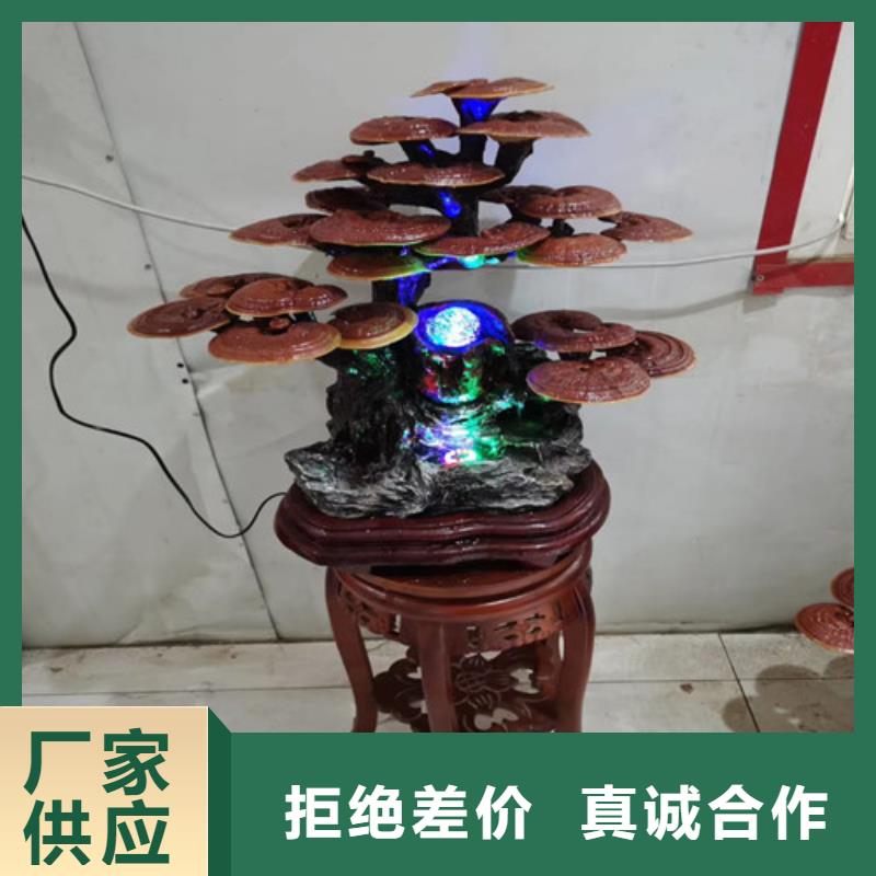 孢子灵芝现货充裕