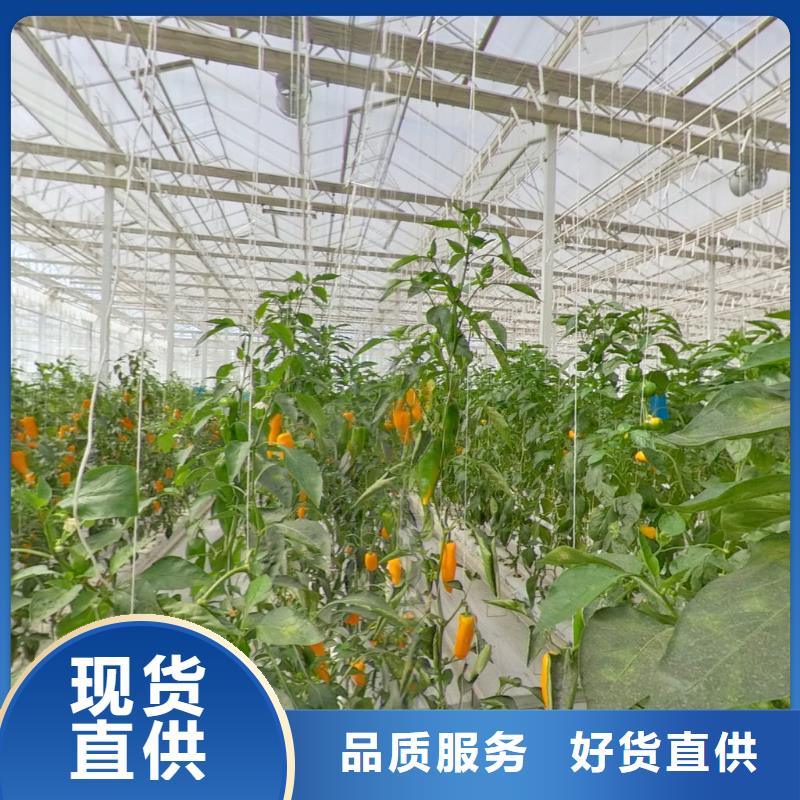 安义牛头大棚骨架管质量，服务至上