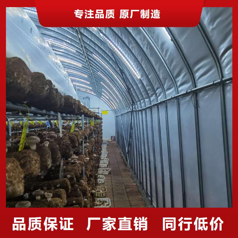 翔安高品质大棚骨架为您服务2025