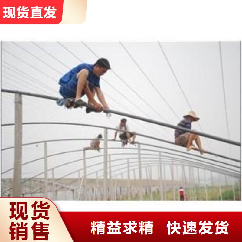 炎陵县草药大棚管生产厂家无需焊接，主装方便