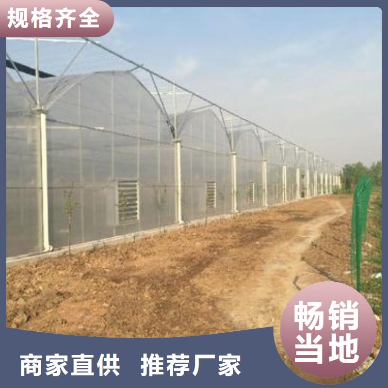 灵璧草莓定尺大棚管欢迎采购可配送沪苏浙