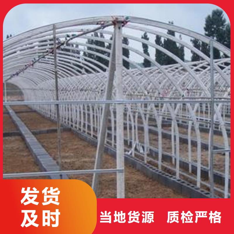 吉州火龙果大棚骨架哪家好